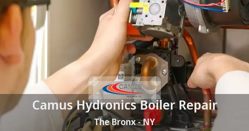 Camus Hydronics Boiler Repair The Bronx - NY