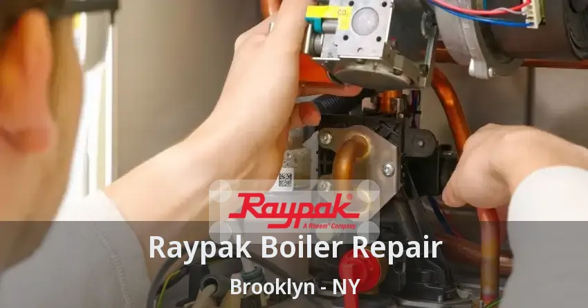 Raypak Boiler Repair Brooklyn - NY