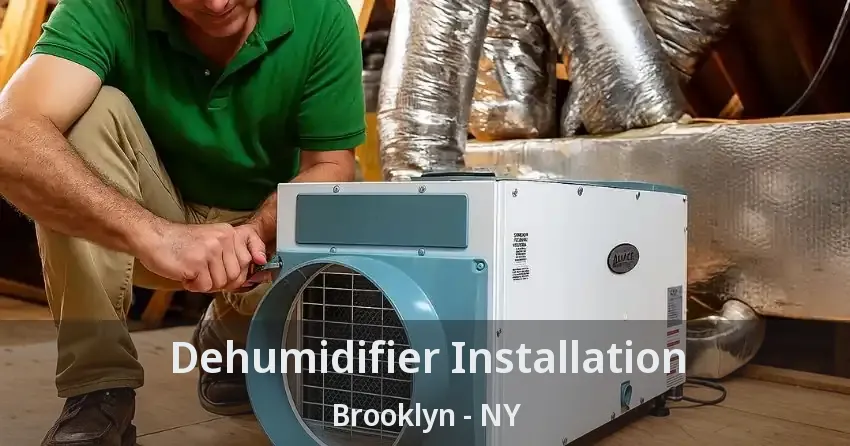 Dehumidifier Installation Brooklyn - NY