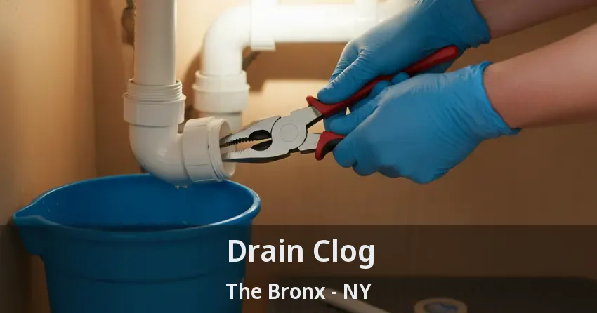 Drain Clog The Bronx - NY