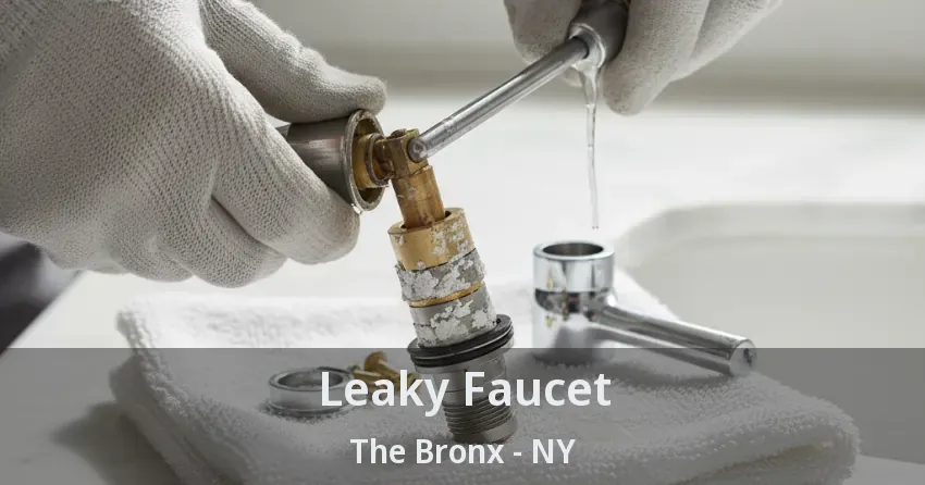 Leaky Faucet The Bronx - NY
