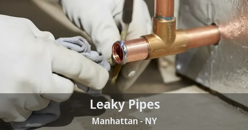Leaky Pipes Manhattan - NY