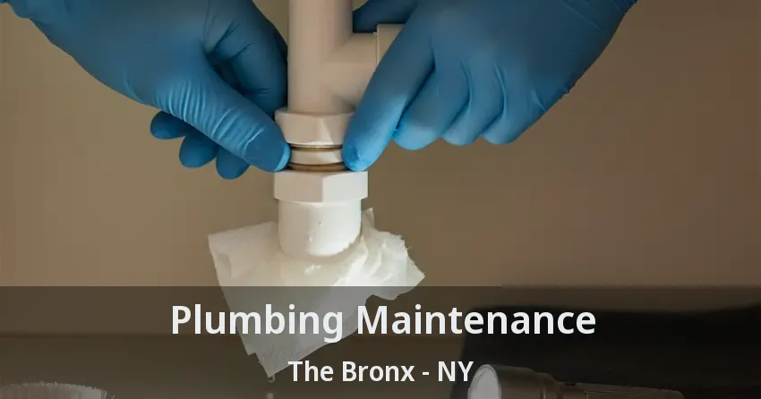 Plumbing Maintenance The Bronx - NY