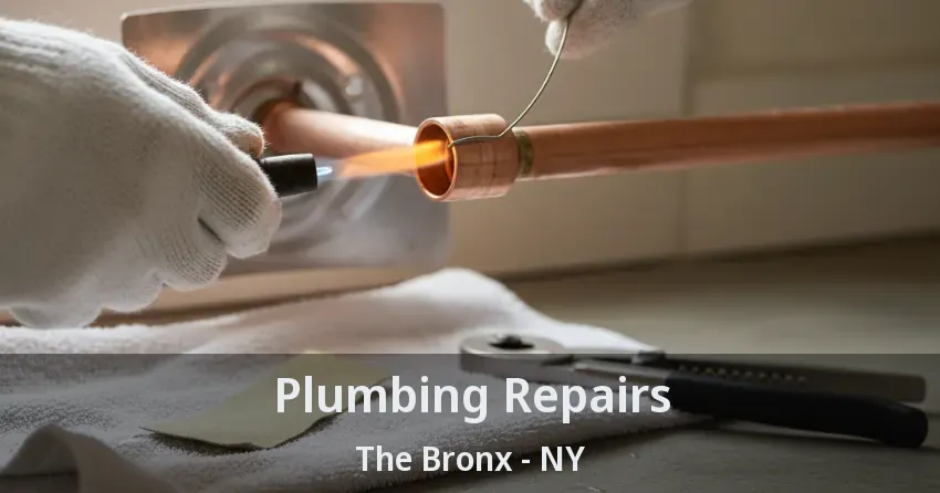 Plumbing Repairs The Bronx - NY